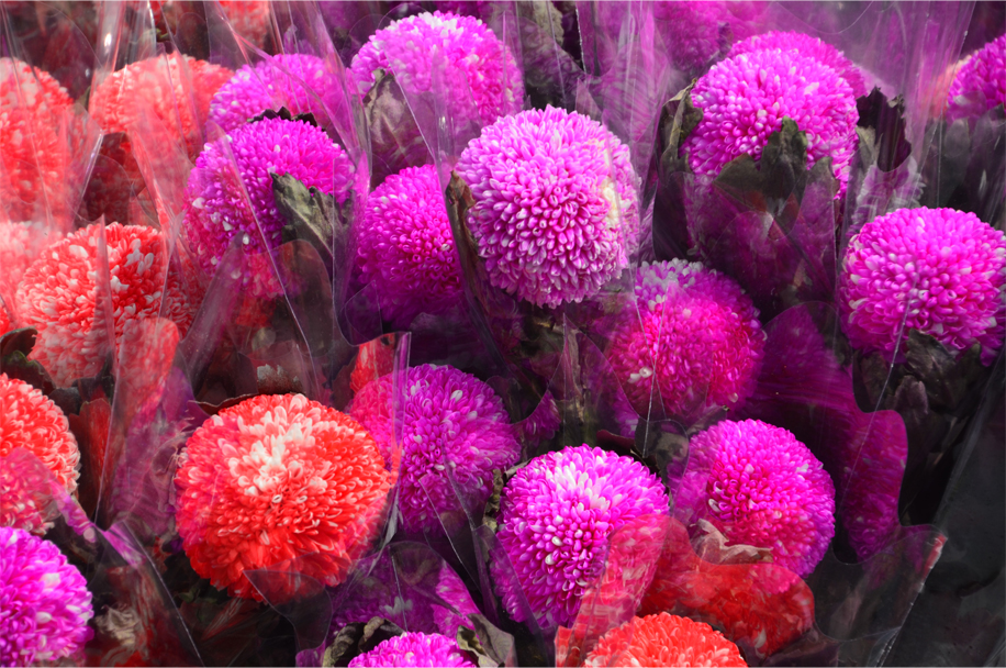 CNY flower market_3