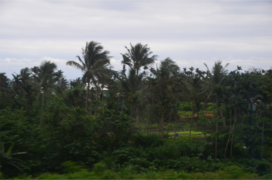 Tze Chiang Express_6