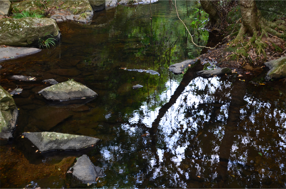 Reflections, New Territories