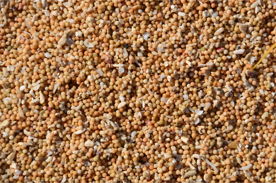 Pepper-like grains of sand, Kuta Beach