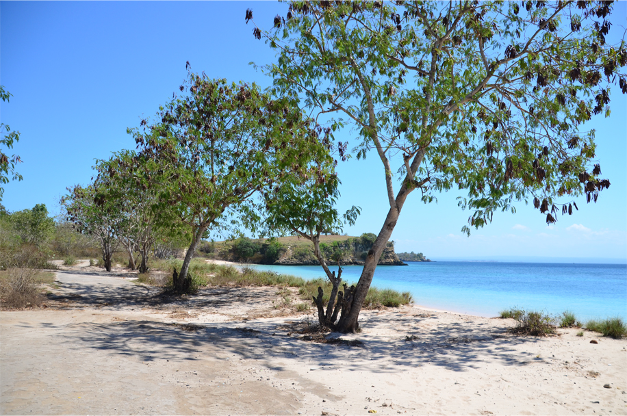 High tide at Pink Beach