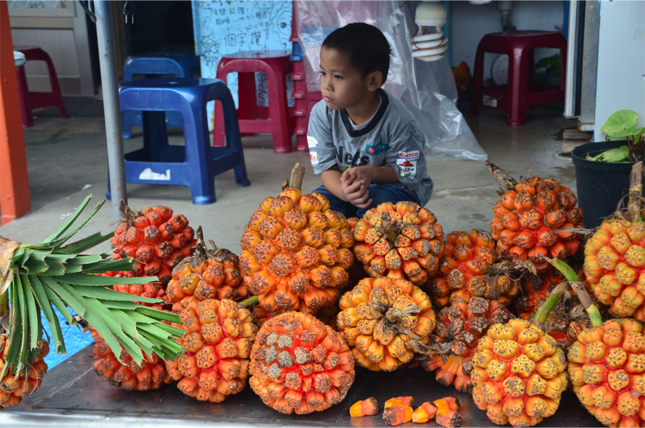 Pandanus fruit, Orchid Island, Taiwan