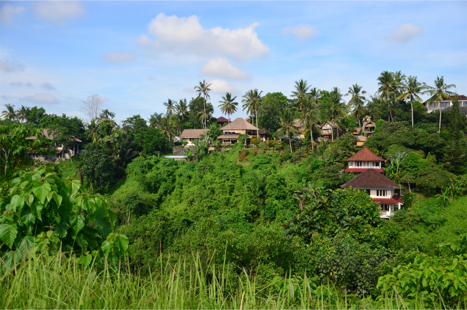 Ubud_12