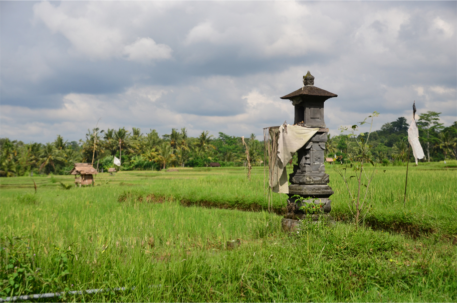 Ubud_13