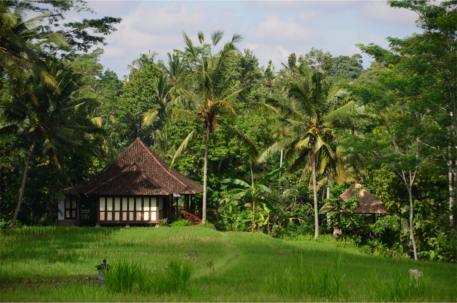 Ubud_15