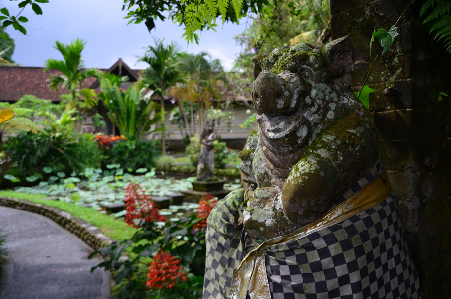 Ubud_5