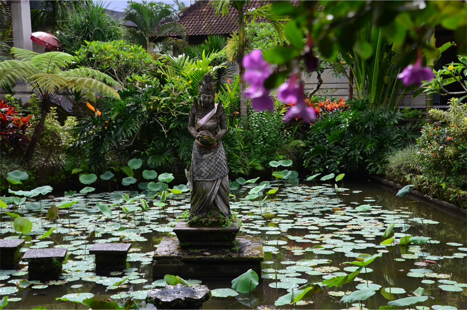 Ubud_6