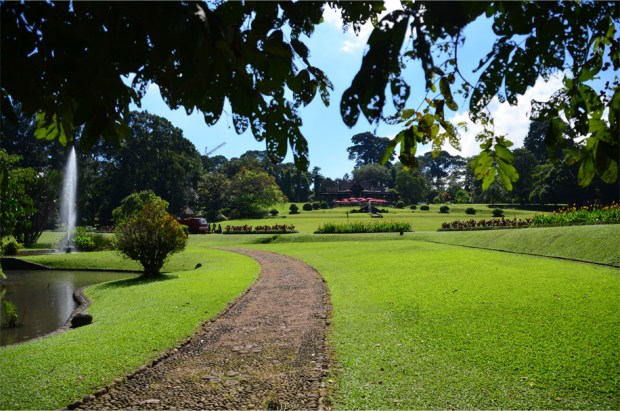 Bogor_10