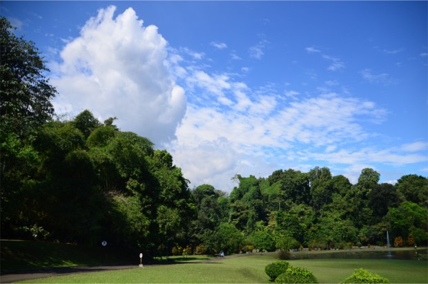 Bogor_7