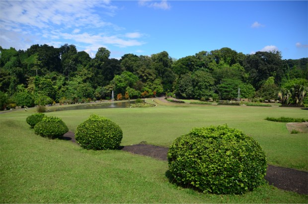 Bogor_8