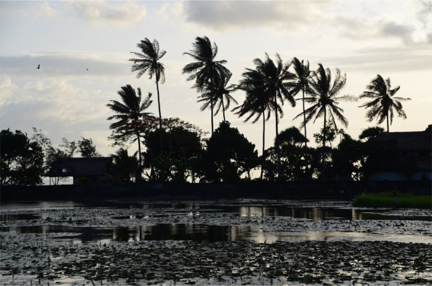 Candidasa Silhouettes