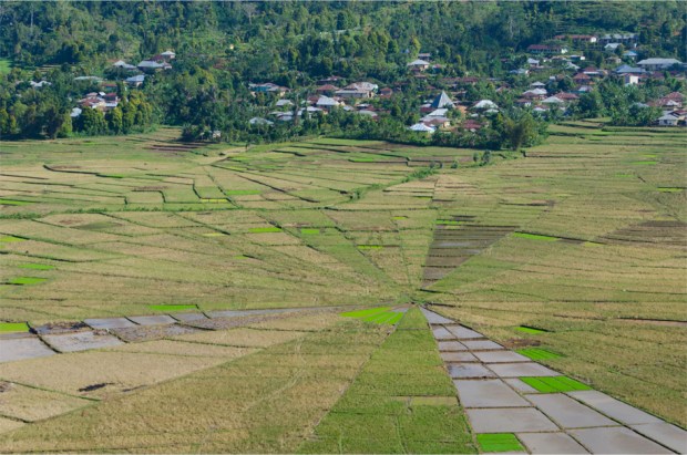 Indonesia Roundup_15