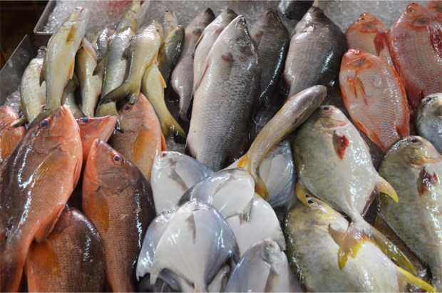 Nyonya Cooking Class_3