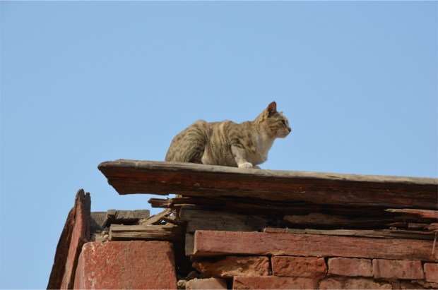 Kathmandu_11
