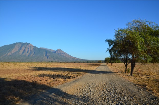 Baluran_1