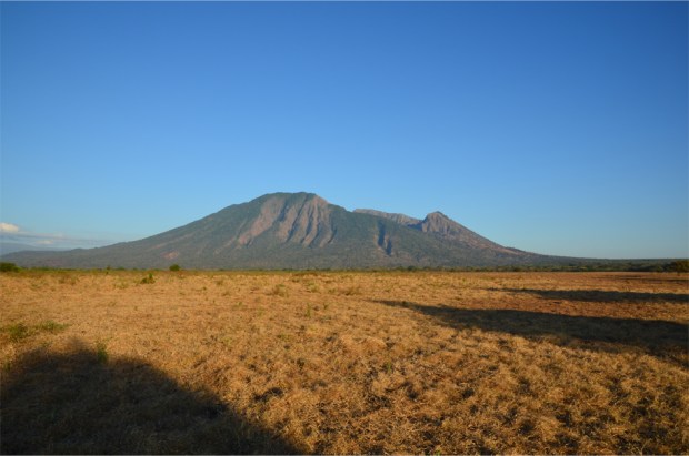Baluran_13
