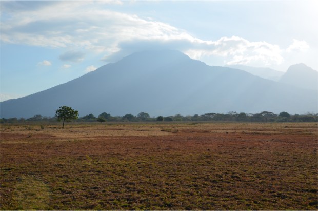 Baluran_3