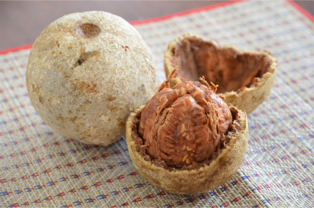 Wood apple, encased in a hard husk