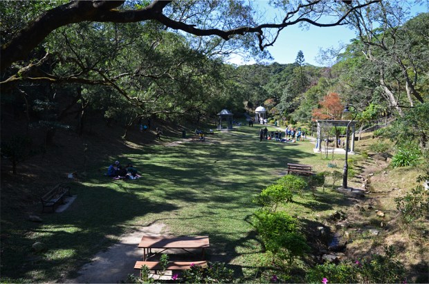 The Peak's not-so-secret garden