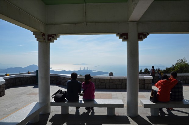 Taking refuge from the midday sun