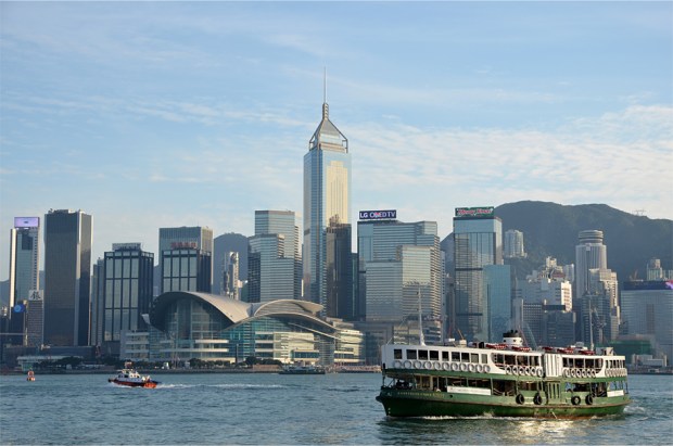 The beloved ferries have been plying these waters since 1888