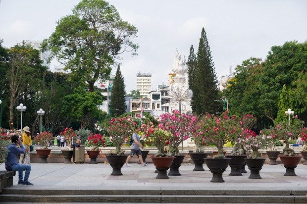 Saigon residents enjoying the greenery of Lê Văn Tám Park