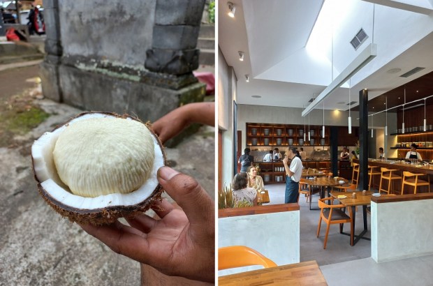 A whole coconut apple; Herbivore is a plant-based sister restaurant of Locavore NXT