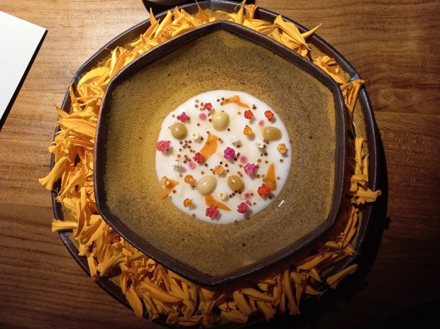 A dish of rice koji, pink guava, bee pollen, and gooseberries at NXT