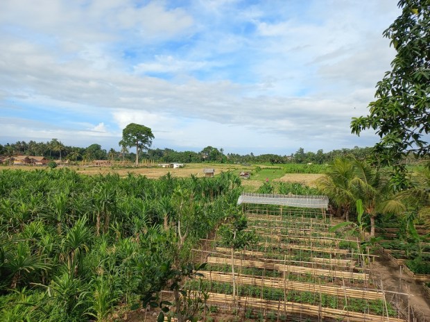 Looking out over vegetable plots and rice paddies from my cabin’s front porch