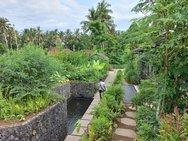 The view down a ramp from the rooftop permaculture garden at NXT
