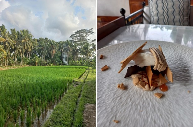 A paddy field behind Room4Dessert; The Sugar Refinery is one of R4D’s signature dishes